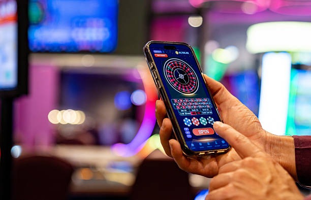 7dtoto platform overview showing sports betting, live casino, and slots categories